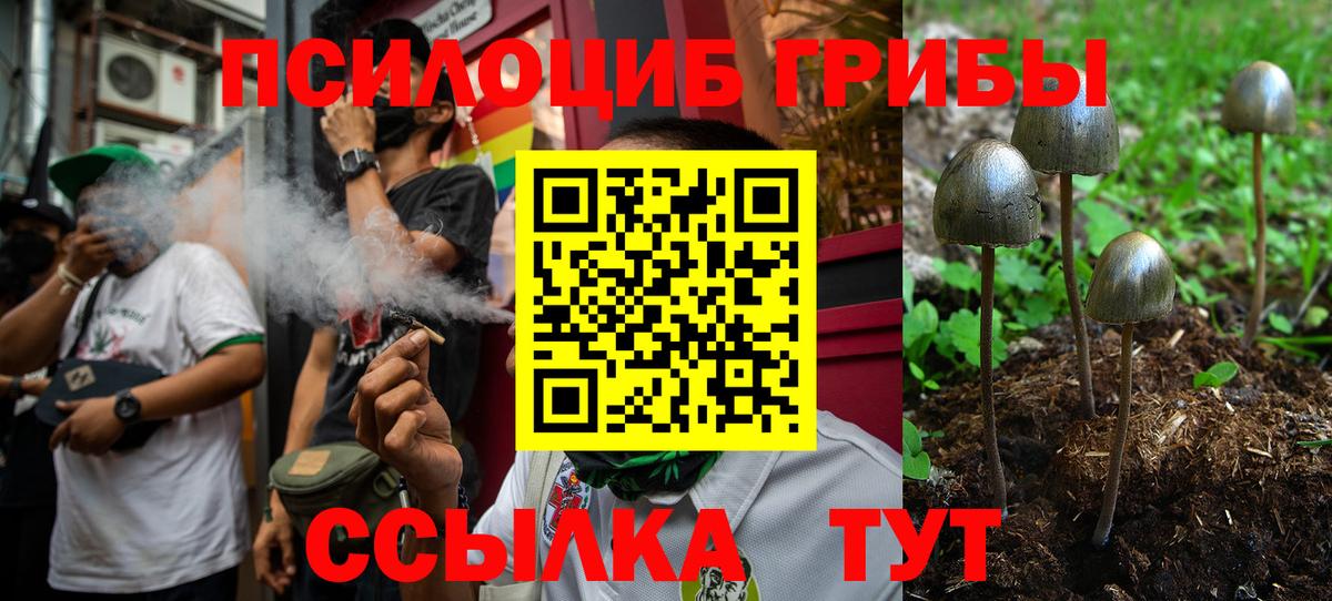 Псилоцибиновые грибы Cubensis  Вход с VPN  Красноармейск 