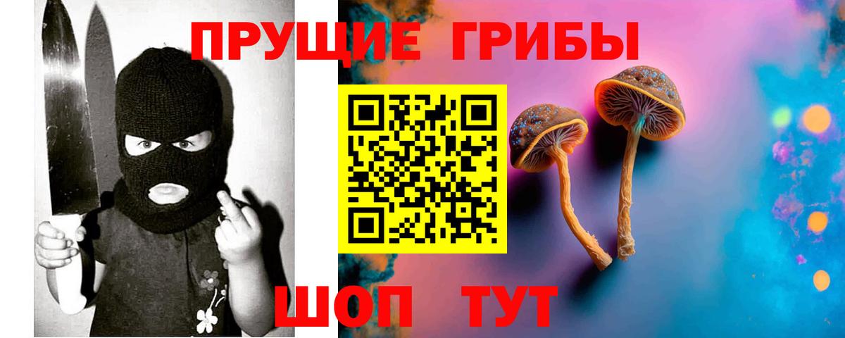 Псилоцибиновые грибы Cubensis Красноармейск